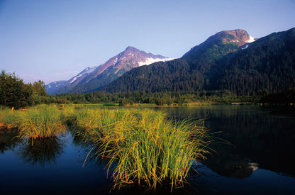 Connecting with Nature: Portraits and Essays on Nature and Man Book
