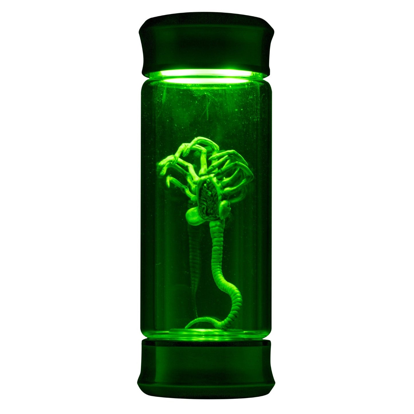 Alien Critter Embryo in Jar Glass Bottle with Display Box 8” Collectible Movie Prop Replica for Halloween Costume