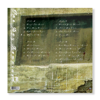 Alter Bridge One Day Remains (2 LP) Vinyl Record