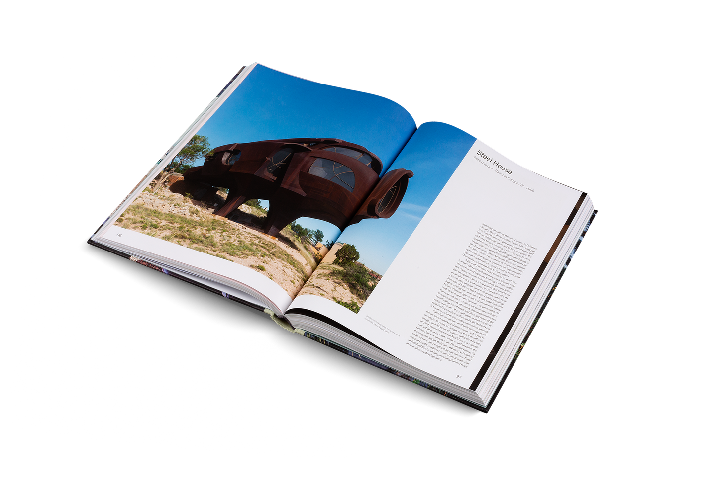 American Icons Book