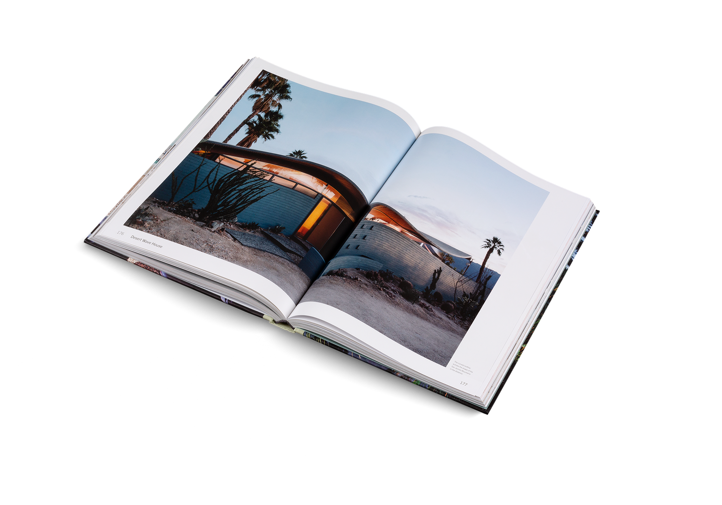 American Icons Book