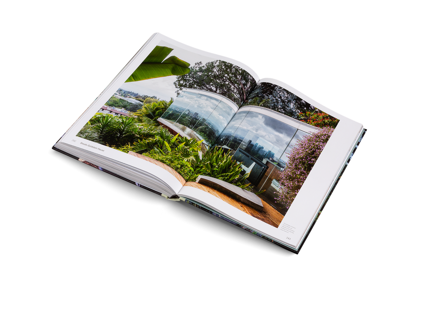 American Icons Book