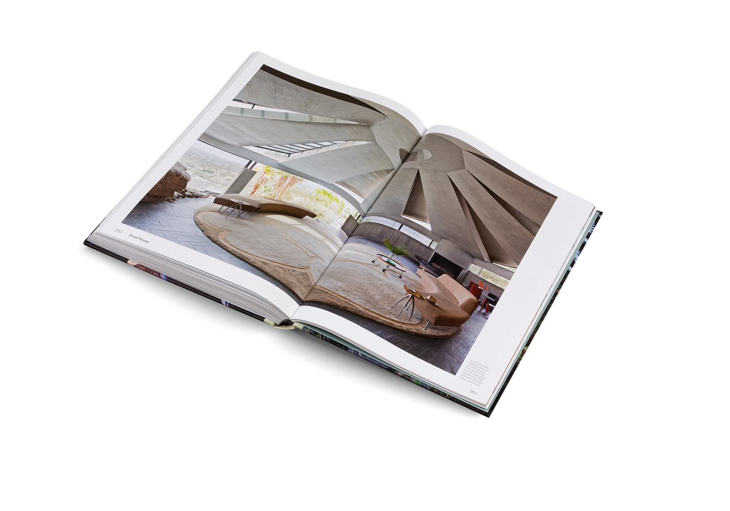 American Icons Book