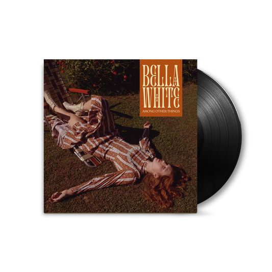 Among Other Things - Black Vinyl Record