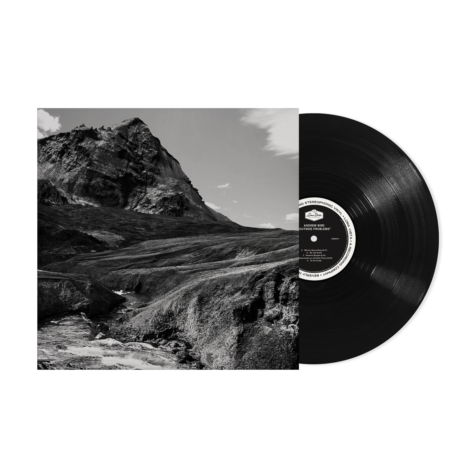 Andrew Bird Outside Problems LP Vinyl Record