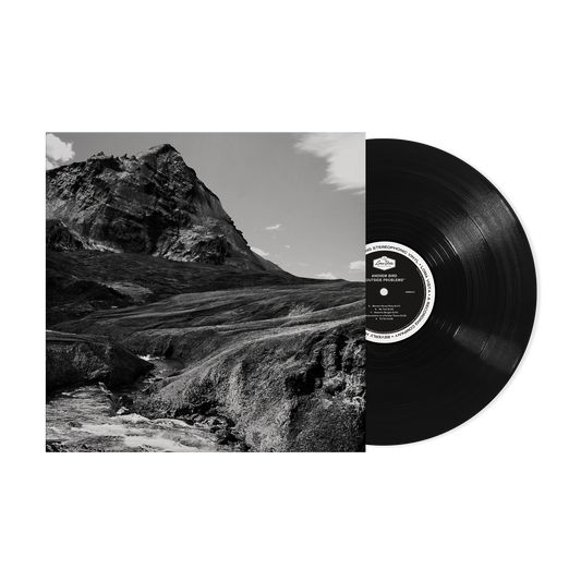 Andrew Bird Outside Problems LP Vinyl Record