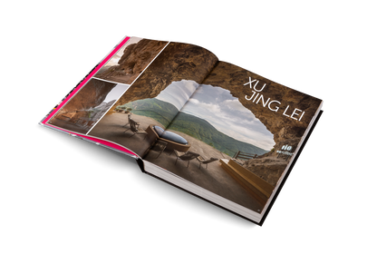 Andrew Martin Interior Design Review Vol. 29 Book