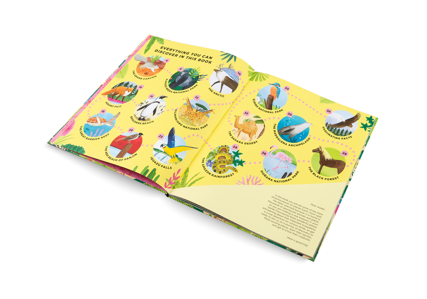 Animals Everywhere Book