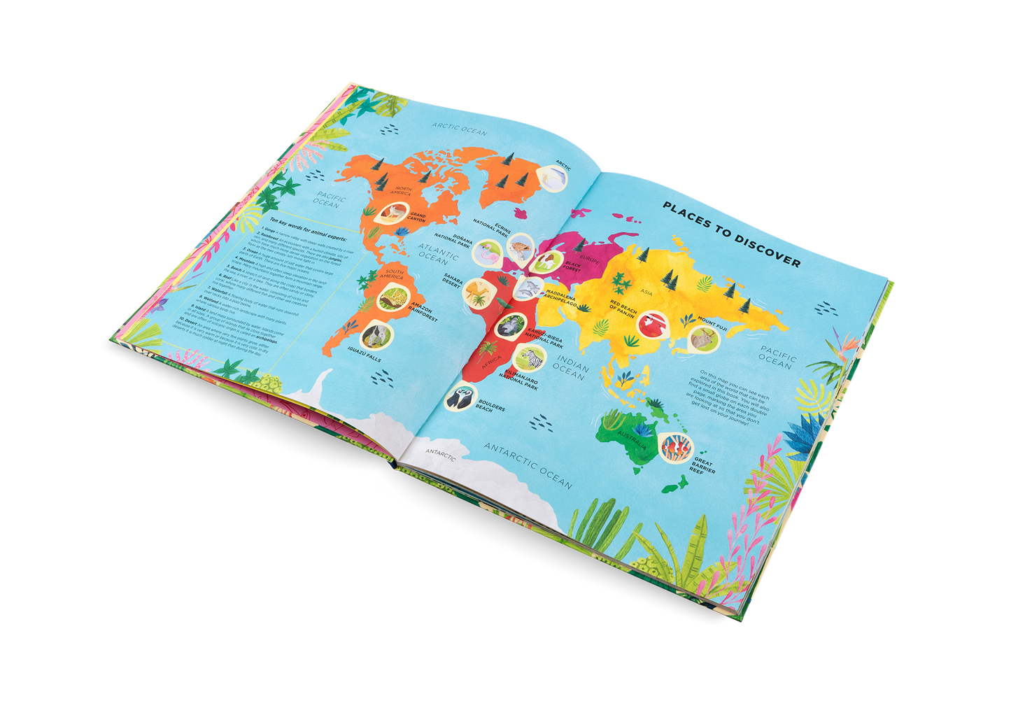 Animals Everywhere Book