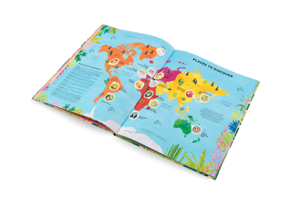 Animals Everywhere Book