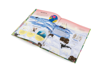 Animals Everywhere Book