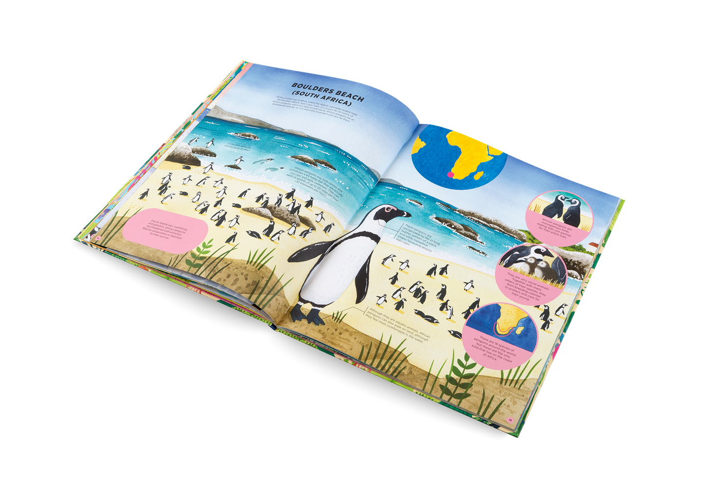 Animals Everywhere Book