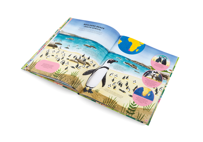 Animals Everywhere Book