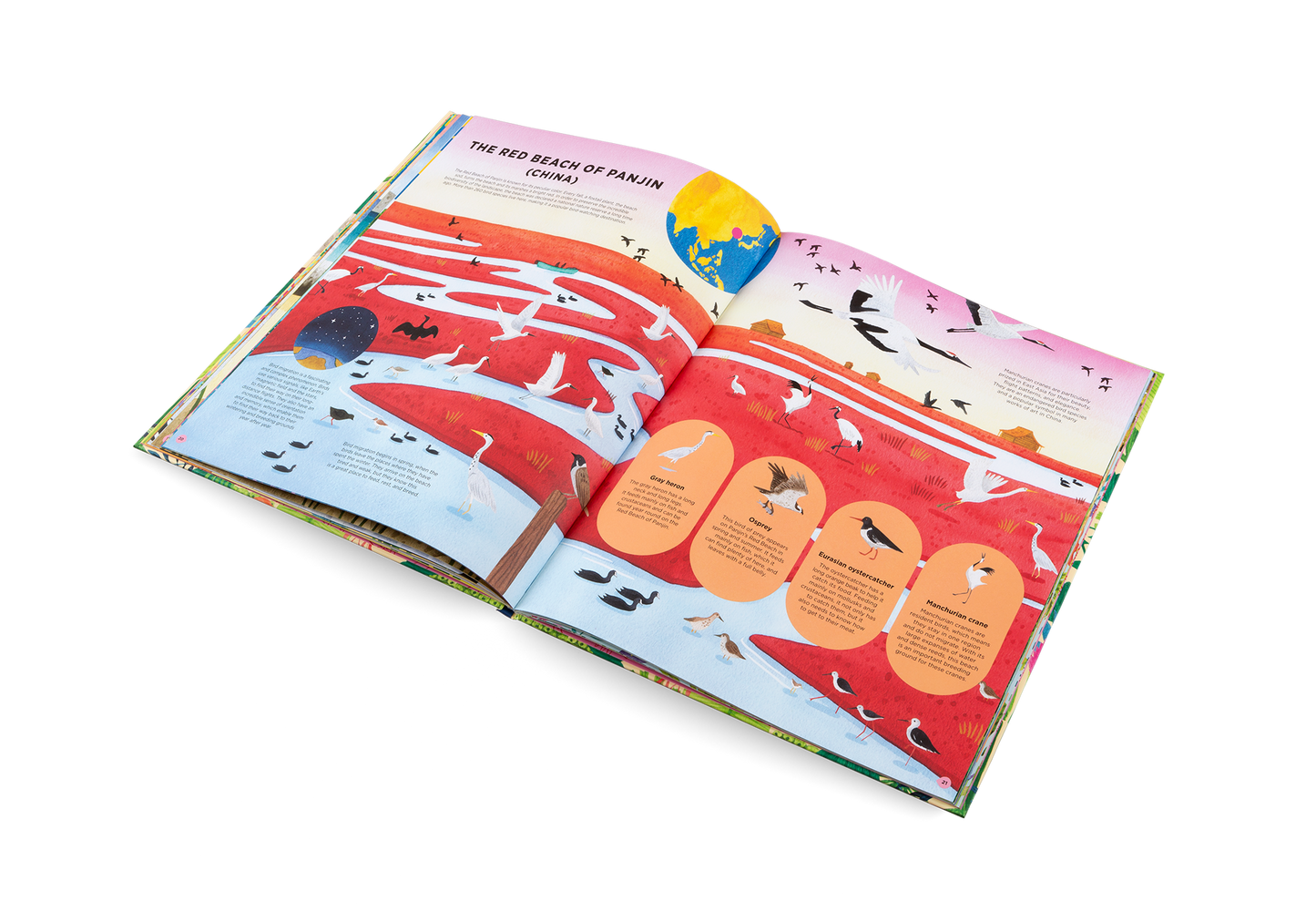 Animals Everywhere Book