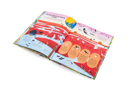 Animals Everywhere Book
