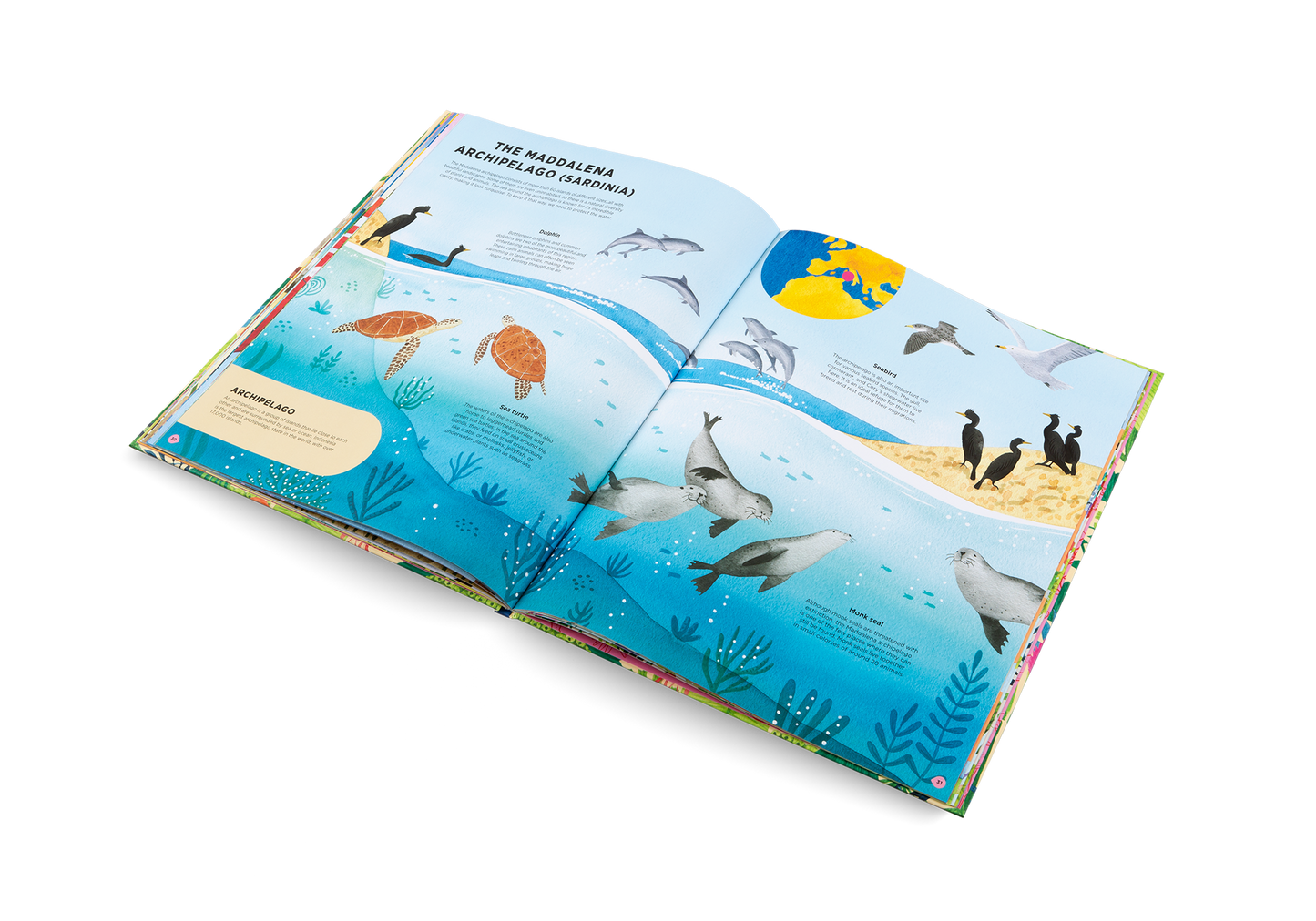 Animals Everywhere Book
