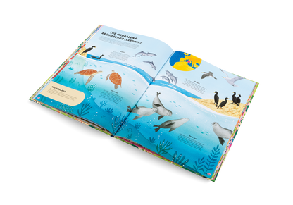 Animals Everywhere Book
