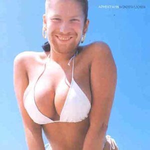 WINDOWLICKER Vinyl Record