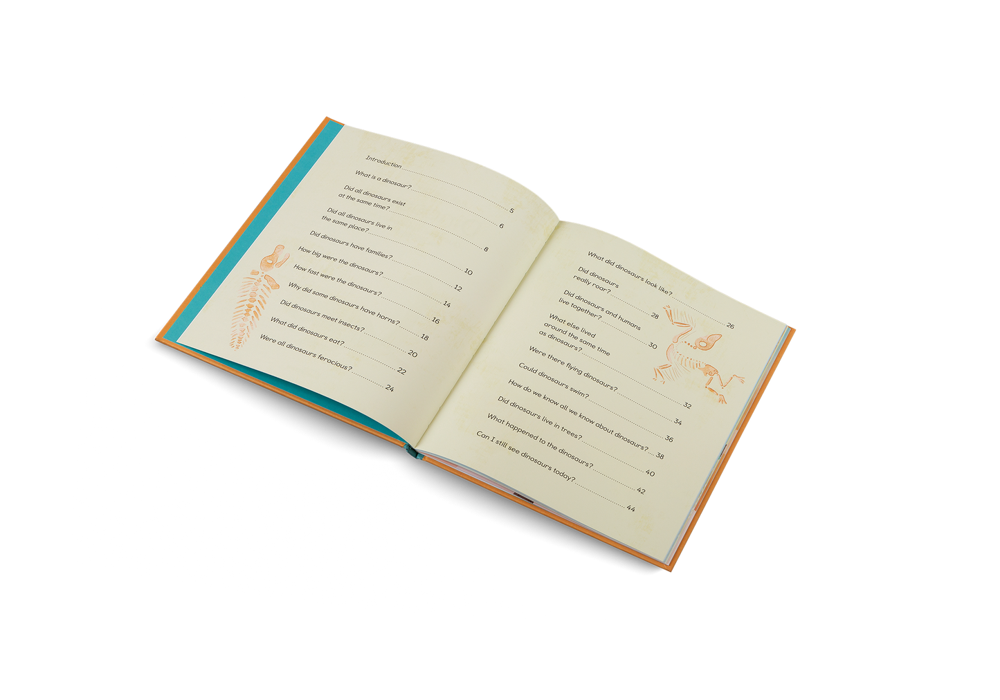 Ask Me About Dinosaurs Book