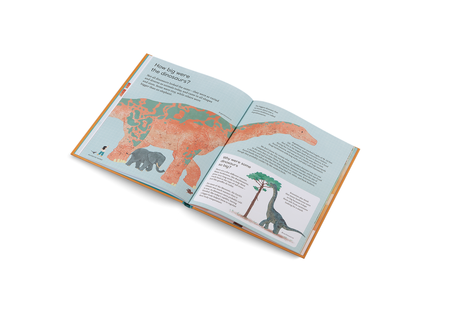 Ask Me About Dinosaurs Book