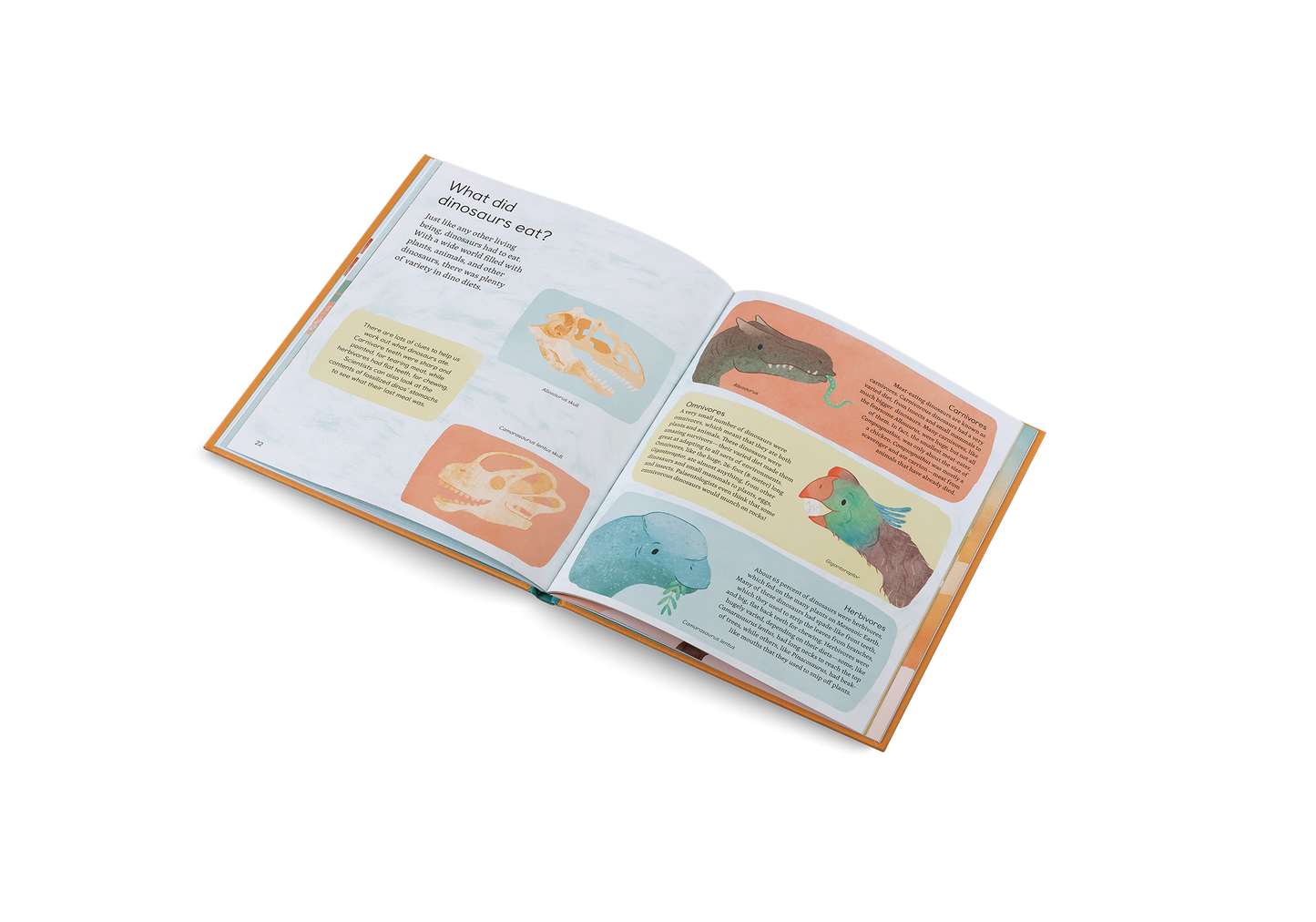 Ask Me About Dinosaurs Book
