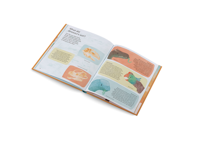 Ask Me About Dinosaurs Book