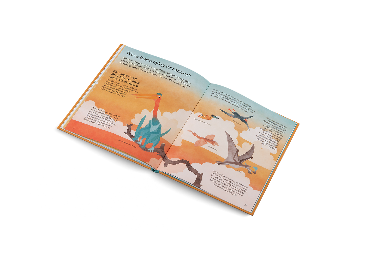 Ask Me About Dinosaurs Book