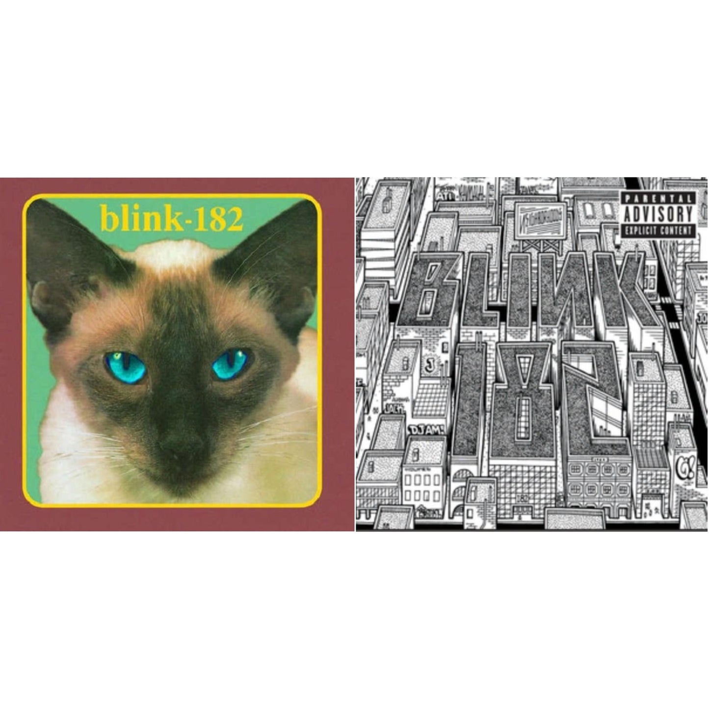 Blink-182 - Cheshire Cat & Neighborhoods - LP Vinyl Bundle