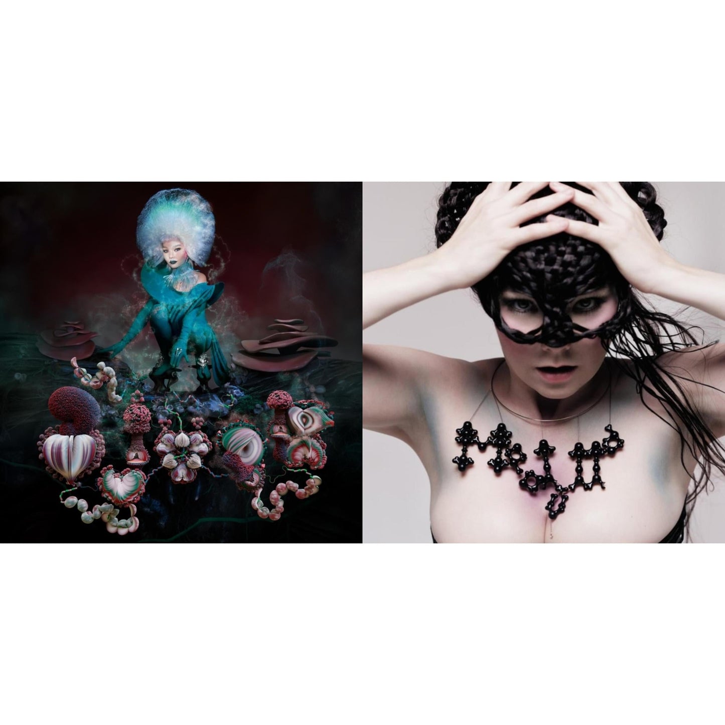 Bjork - Medulla & Fossora - LP Vinyl Bundle