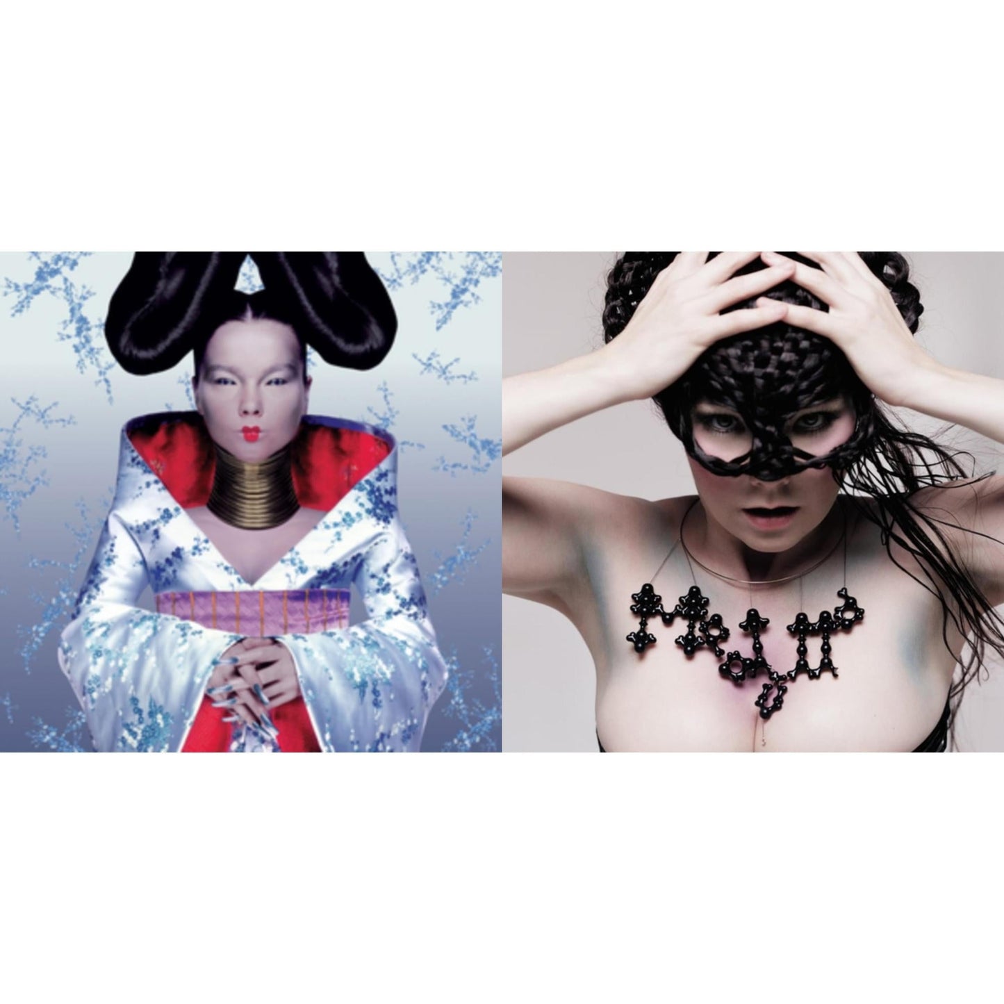 Bjork - Homogenic & Medulla - LP Vinyl Bundle