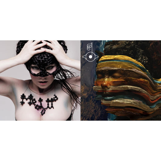 Bjork - Medulla & Bastards: Remix - LP Vinyl Bundle