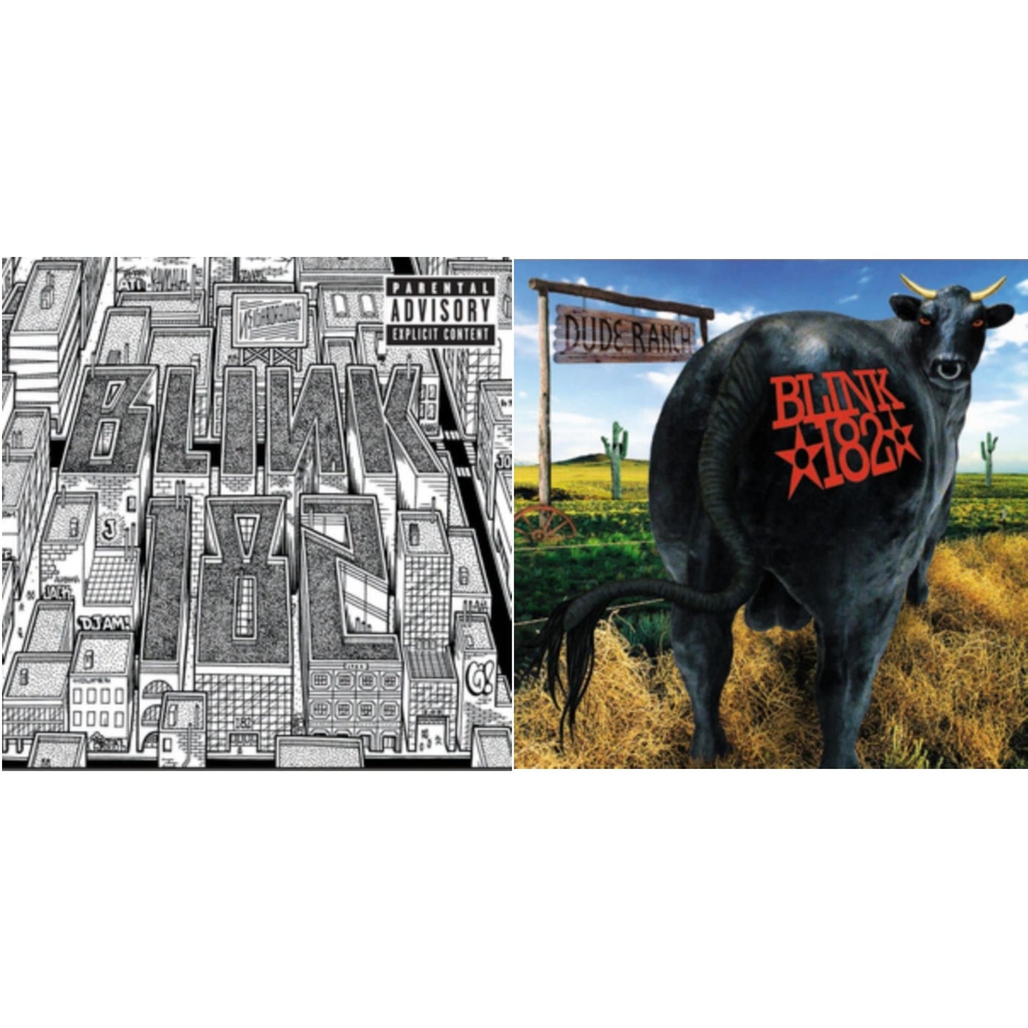 Blink-182 - Neighborhoods & Dude Ranch - LP Vinyl Bundle