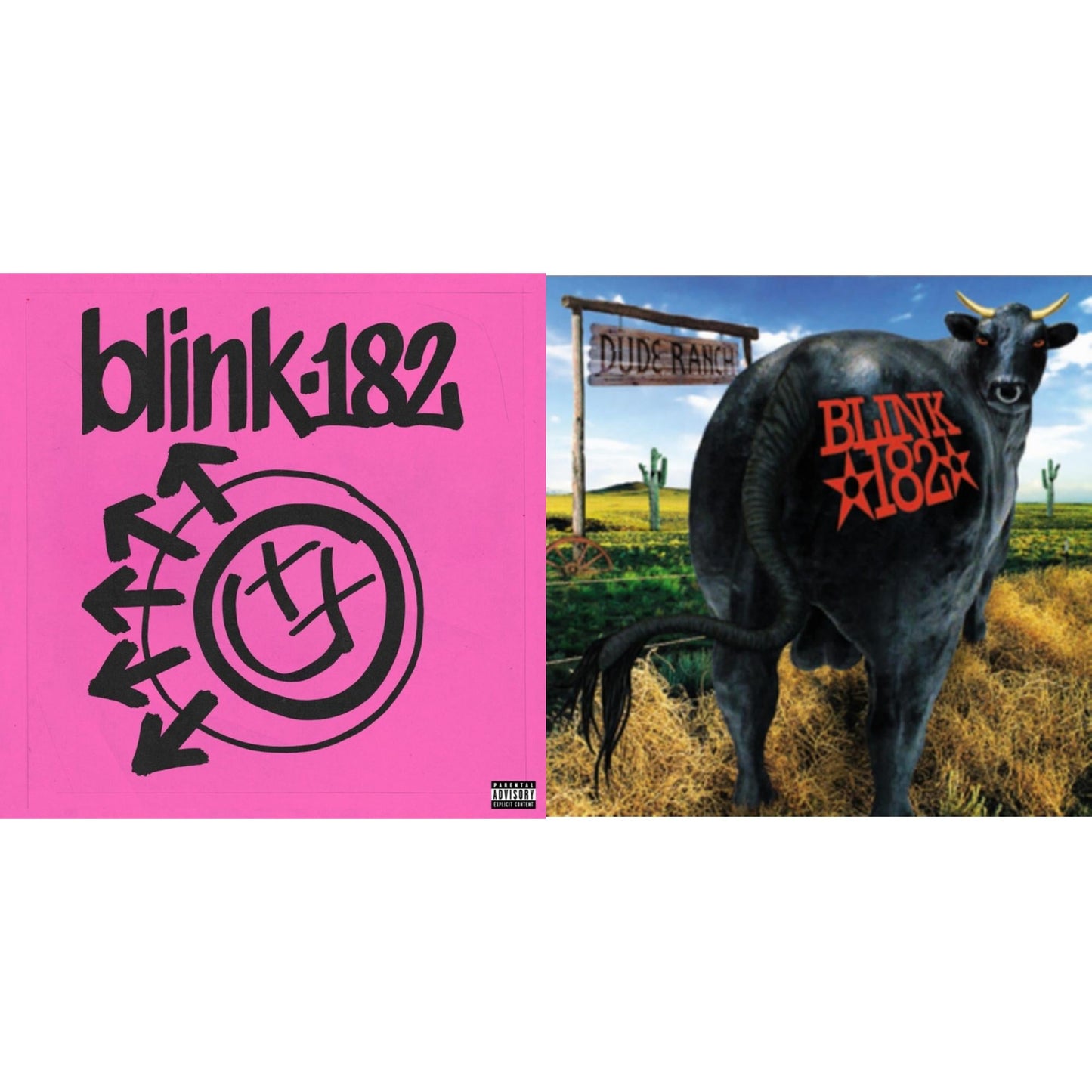 Blink-182 - One More Time… (X) & Dude Ranch - LP Vinyl Bundle