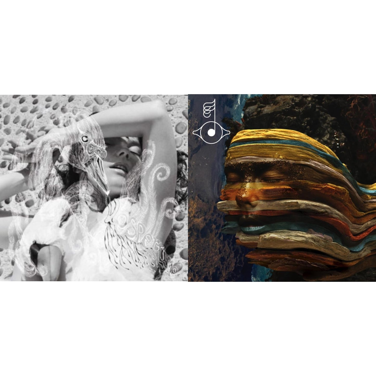Bjork - Vespertine & Bastards: Remix - LP Vinyl Bundle