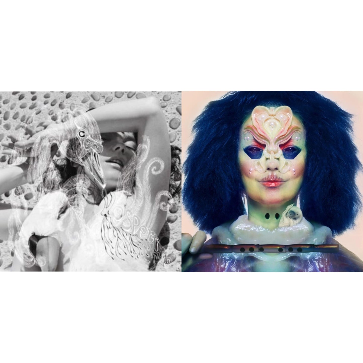 Bjork - Vespertine & Utopia - LP Vinyl Bundle