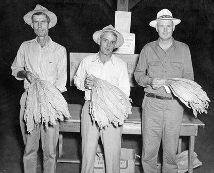 Old Florida Memories: A Photo Retrospective of Greater Columbia County, Florida Book