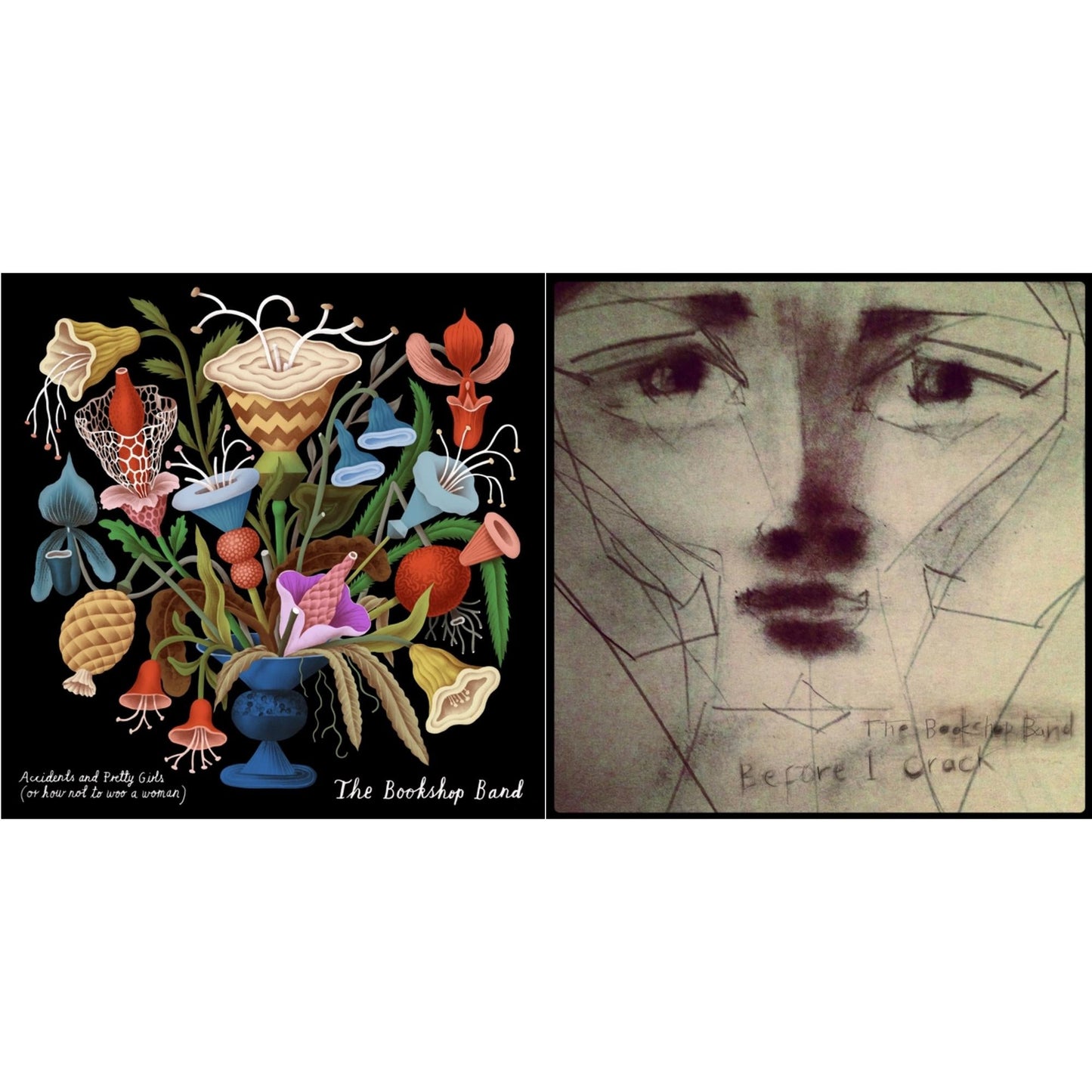 Bookshop Band - Accidents & Pretty Girls & Before I Crack - CD Bundle