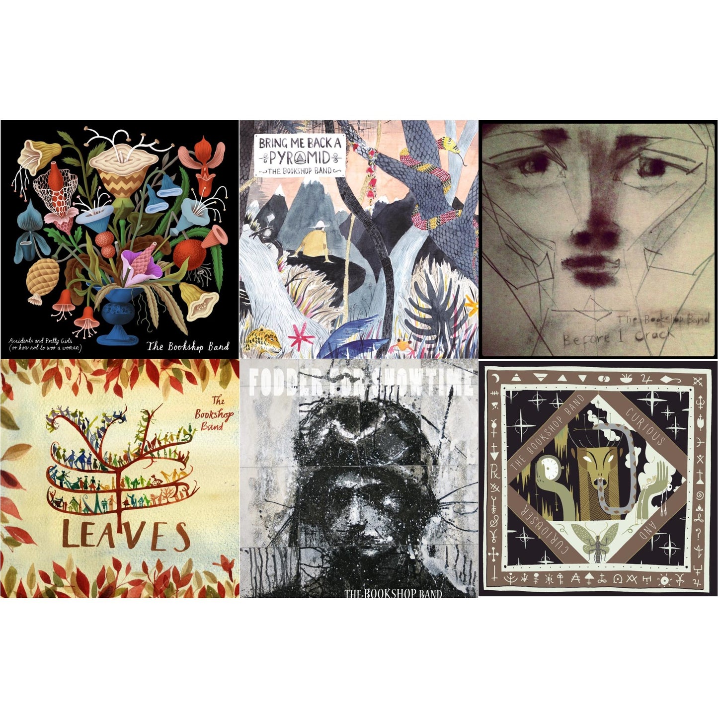Bookshop Band - Accidents & Pretty Girls & Bring Me Back A Pyramid & Before I Crack & Leaves & Fodder For Showtime & Curious & Curiouser - CD Bundle
