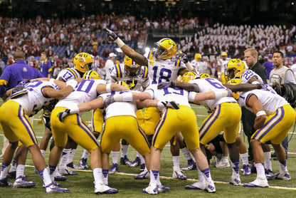 LSU by the Numbers: The Greatest Tigers in History (and Those Who Almost Made It) Book