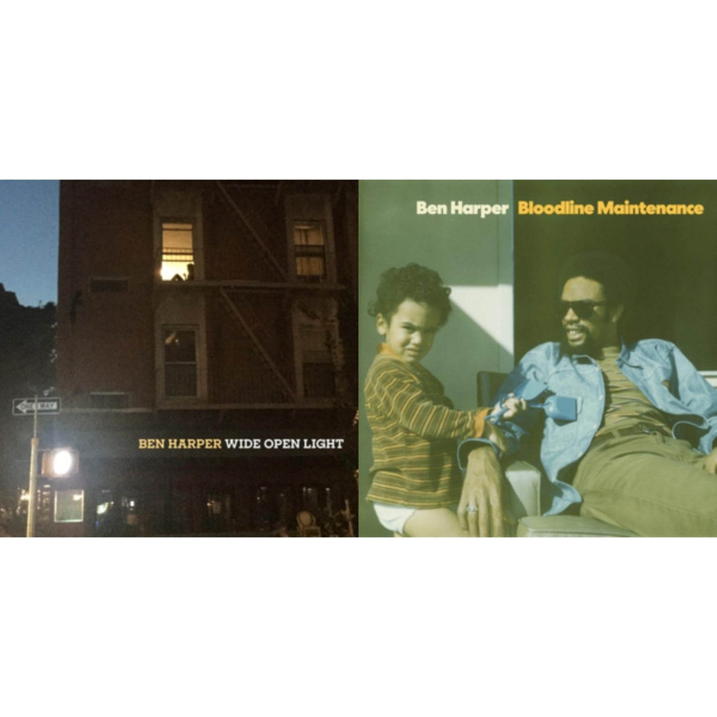Ben Harper - Bloodline Maintenance & Wide Open Light - LP Vinyl Bundle