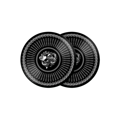 Black Label Society – Engines of Demolition Gold Zoetrope Vinyl Record