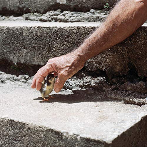 Mythological Beauty ("CONCRETE" GRAY VINYL) Vinyl Record