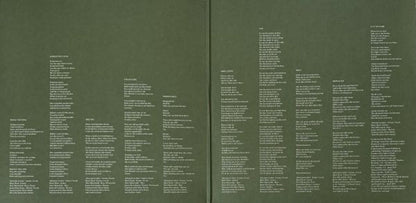 Big Thief – Two Hands (LP Vinyl) Vinyl Record