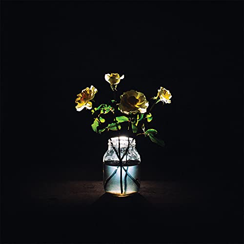 Billy Strings - Renewal [2 LP] Vinyl Record