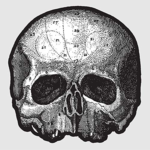 Black Pearl 10” (Die Cut Skull Pic Disc) Vinyl Record