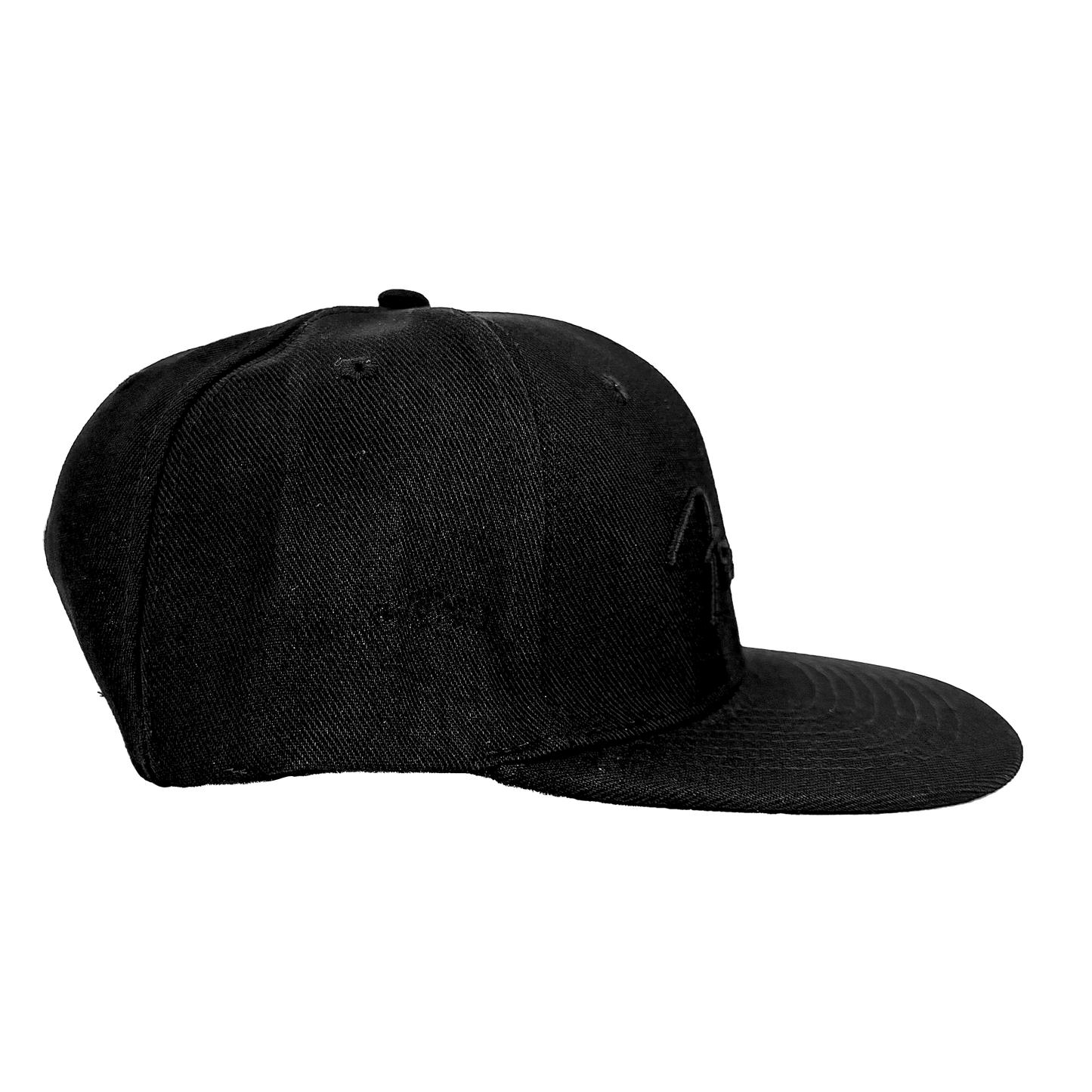Fender Black Flat Bill Hat