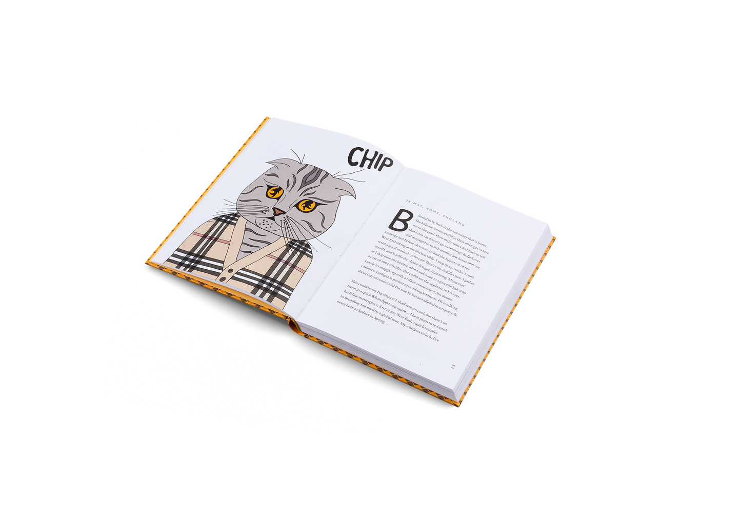 Blue Chip Book