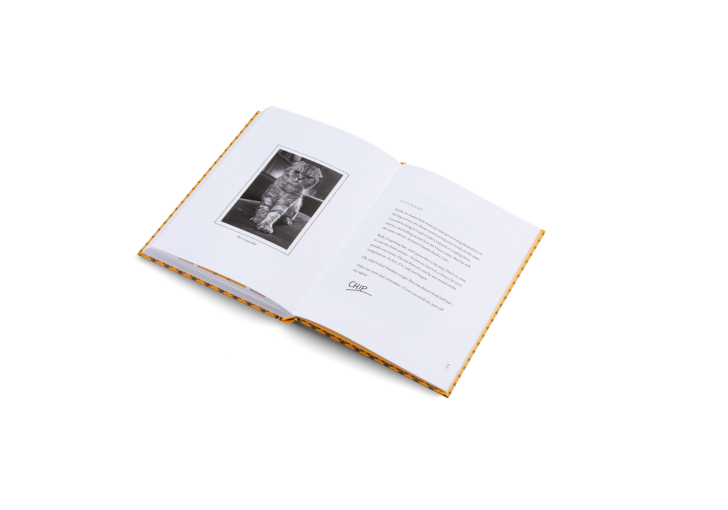 Blue Chip Book