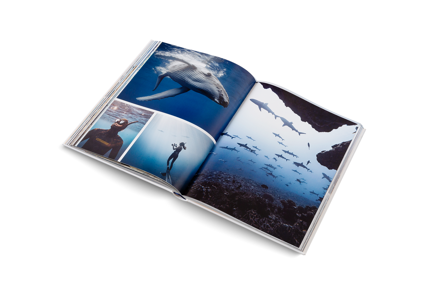 Boatlife Book