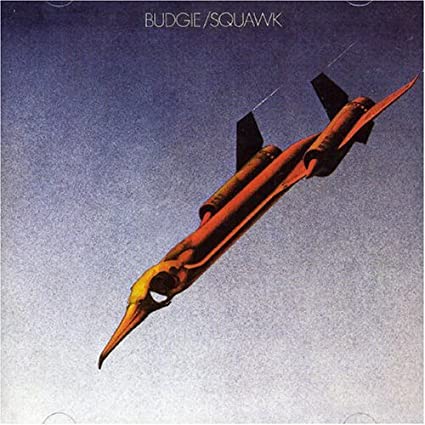 Squawk [Import] [Vinyl] Vinyl Record